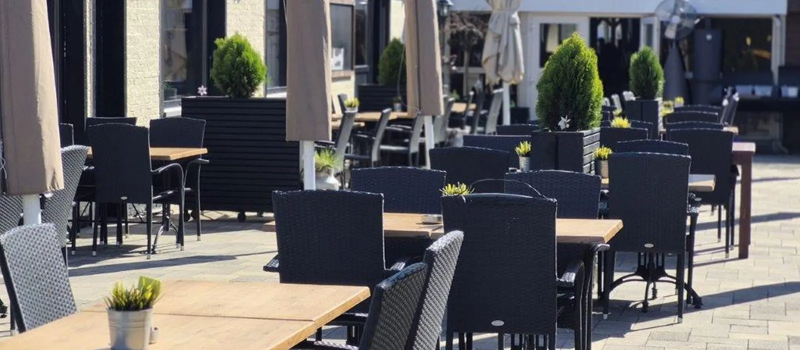 1749629972-Terras 5